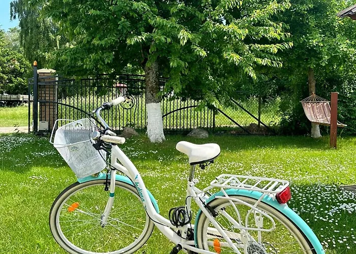 Agrogajowka Gniewino