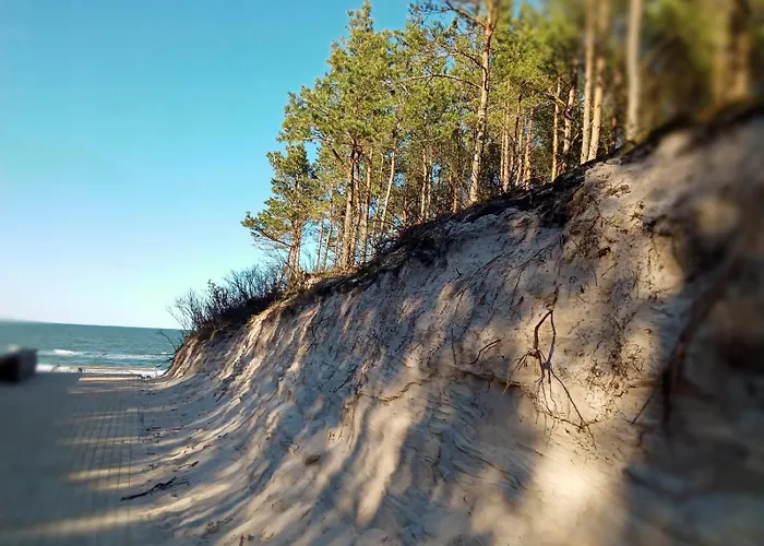 Agrogajowka * Gniewino